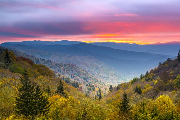 Anesthesia Spectrum Gatlinburg, Tennessee